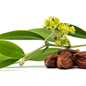 000012988-009-114-1jojoba1.jpg