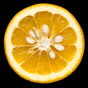 000020123-arancio amaro.jpg