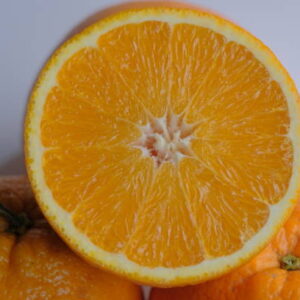 000020124-arancio dolce.jpg