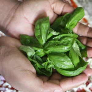 000020125-basilico.jpg